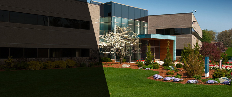 Cottonwood Landscapers