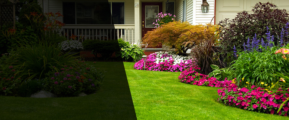 Cottonwood Landscapers