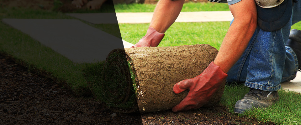 Cottonwood Landscapers